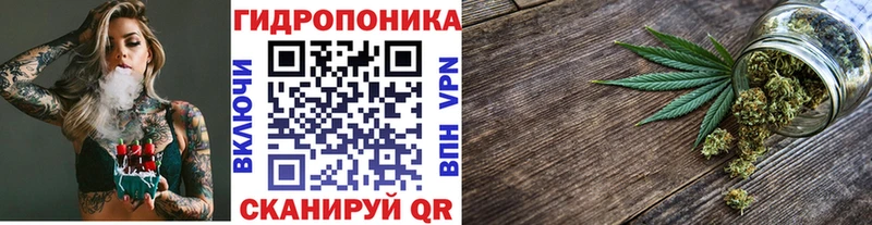 Конопля Ganja  наркошоп  дарк нет официальный сайт  Кашин 